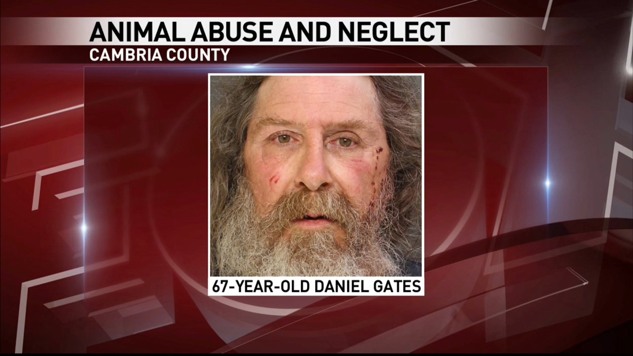 Johnstown Man Charged With Animal Abuse - FOX8